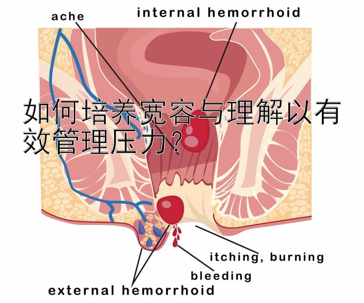 如何培养宽容与理解以有效管理压力？