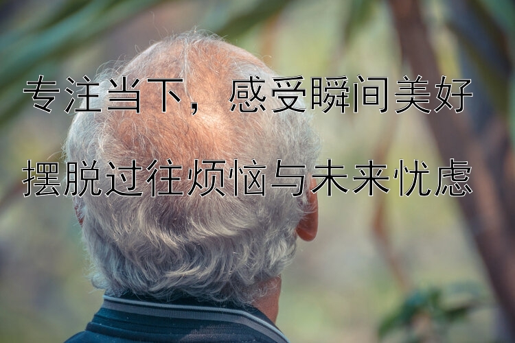 专注当下，感受瞬间美好  
摆脱过往烦恼与未来忧虑